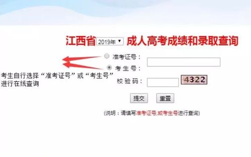 湖南成人高考成績查詢方式：了解23年的最新方法 - 腿腿教學網(wǎng)