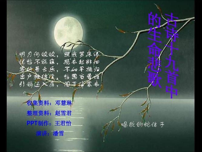 古體詩篇：懷念生命的莊嚴 - BIM,Reivt中文網
