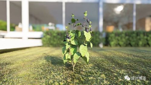 種樹的壯麗景象：Lumion助力大片改寫 - BIM,Reivt中文網